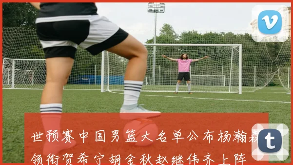 世预赛中国男篮大名单公布杨瀚森领衔贺希宁胡金秋赵继伟齐上阵
